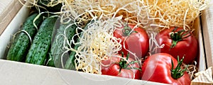 Wooden and cardboard crate box with fresh ripe tasty red tomatoes and green cucumbers with wood shavings filler