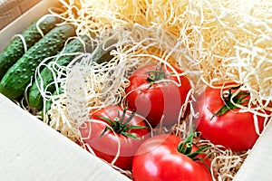 Wooden and cardboard crate box with fresh ripe tasty red tomatoes and green cucumbers with wood shavings filler