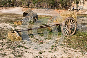 Wooden cart , Asia Style