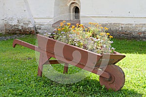 Wooden cart with flowers.