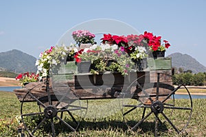 Wooden cart full of colorful flowers