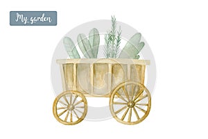 wooden cart with greens handpainted farmers decor watercolor illustration