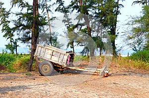 A Wooden Cart in an Indian Village