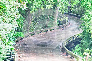 A wooden cart pathway bridge curves around trees