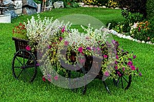 Wooden cart with summer flowers