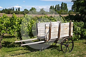 Wooden cart on a vineyard