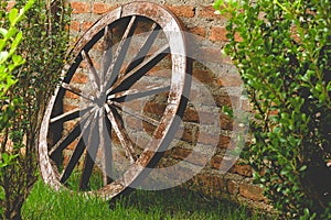 Wooden Cart Wheel photo