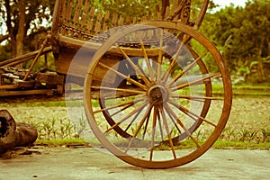 Wooden cart wheels,vintage  filtered