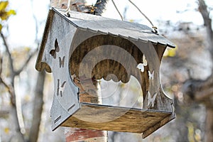 Wooden carved birdfeeder for birds and animals in the city park