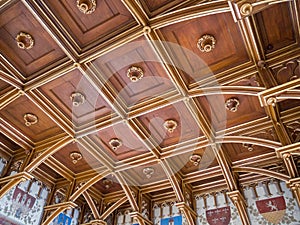 Ornate ceiling