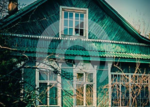 A wooden carved village house stands near a tree on a sunny spring day. Rural area