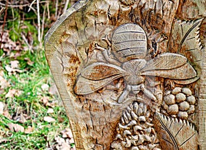 wooden carving of bee or insect on plank in wildlife nature reserve