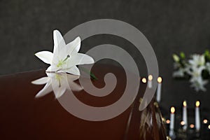 Wooden casket with white lily in funeral home. Space for text