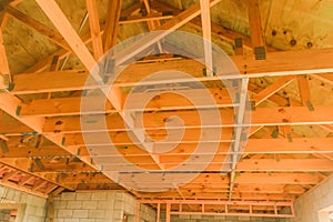 Wooden ceiling, building in New Zealand