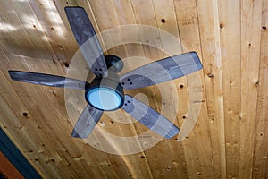 Wooden ceiling fan and wooden ceiling