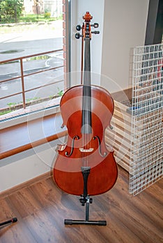 Wooden Cello selling in music store
