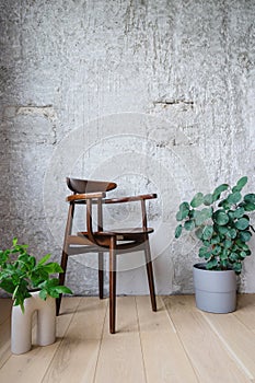 Wooden chair with back and houseplant indoors