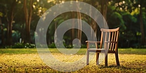 Wooden chair in the garden for relaxation and tranquility with the surrounding plants blurred background