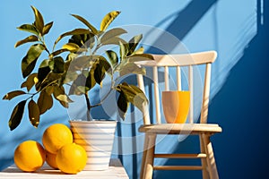 a wooden chair next to a potted lemon tree