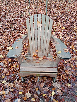 wooden chair for relaxing in the autumn in the forest