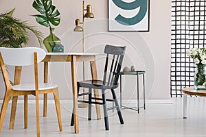 Wooden chair at round table with green leaf in glass vase in fashionable dining room interior with poster on pastel pink wall