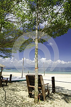 Wooden chair under a tree facing the clear blue sea water at sunny day