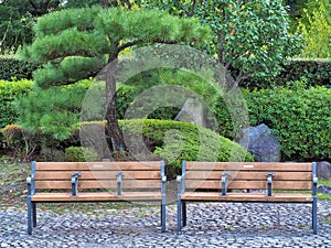 Wooden chairs in Japanese garden.