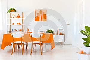Wooden chairs at table in white and orange dining room interior with poster and plant