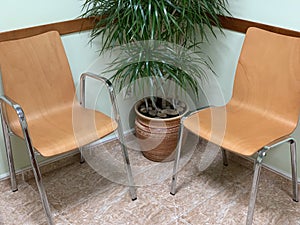 Wooden chairs in the waiting room