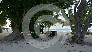 Wooden chaise lounges under a palm tree on a tropical beach. Maldives