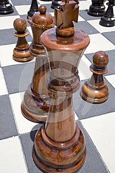 Wooden chess pieces