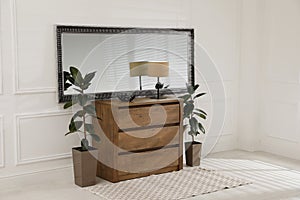 Wooden chest of drawers with lamp, plants and mirror in room. Interior design