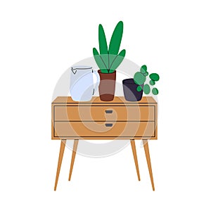 Wooden chest of drawers, nightstand with leaf plants in pots. Wood furniture, dresser with legs in modern retro style
