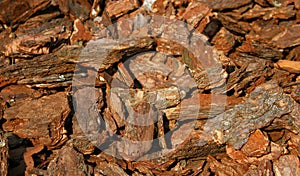 Wooden chip bark pieces which have been shredded for using as soil in gardening. Garden mulch