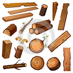 Wooden chips and bark, timber and stum. Wood