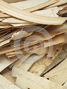 Wooden chips