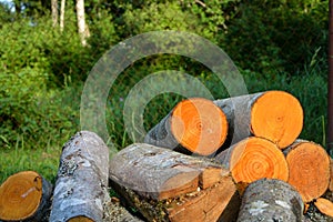 Wooden chocks prepared for heating in winter