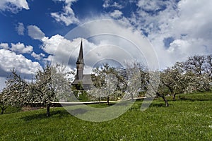 A wooden church in Maramures, in an orchard with trees in bloom