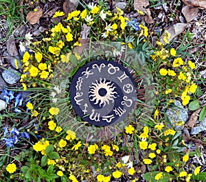 Wooden circle with zodiac signs chart in flowers