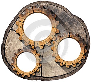 Wooden Cogwheels or Gears on Cross Section of a Tree Trunk