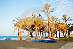 Wooden colorful boat standing on the sandy bay beach near the high palm trees with blue sea water at the background in warm evenin