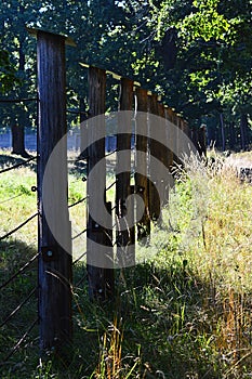 Wooden columns with steel ropes and electric fence installed in wisent natural reservation of Wisent animals.