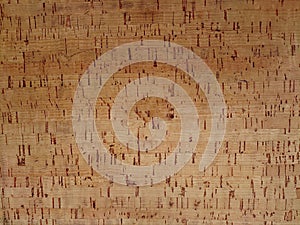 Wooden cork textured surface seen from above