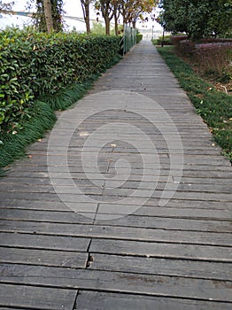 Wooden corridors in the park