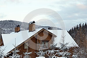 Wooden cottage and fir trees covered with snow in winter morning