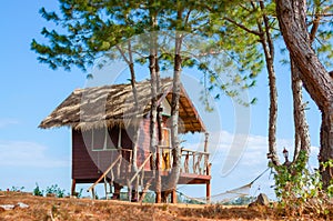 Wooden cottage house in a pleasant country farm to live in on a clear day with beautiful blue sky