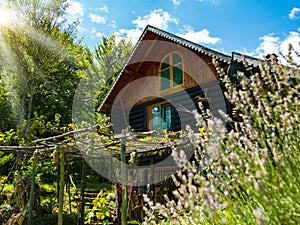 wooden cottage house traditional natural in the forest with garden
