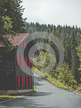 Wooden cottage with red shutters in the forest next to a road