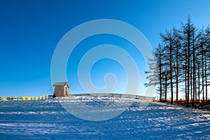 Wooden cottage in winter. Daegwallyeong Sheep Farm in Gangwondo, South Korea.