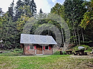 Wooden cottage in the woods of Italy surrounded with tall trees and a bench with table in the yard